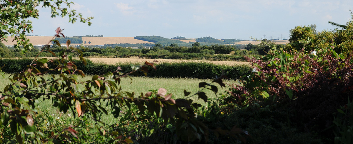 Foston