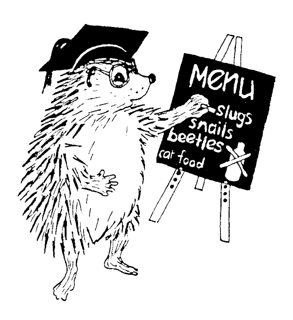 Cartoon hedgehog